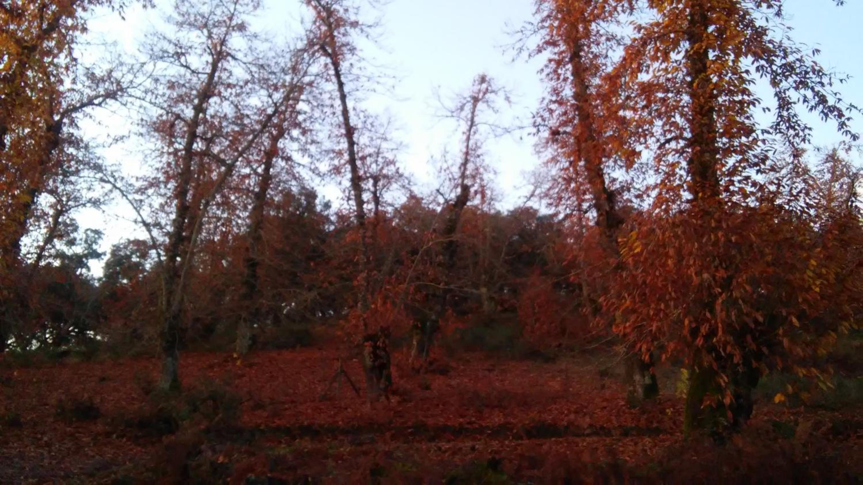 Finca El Gato