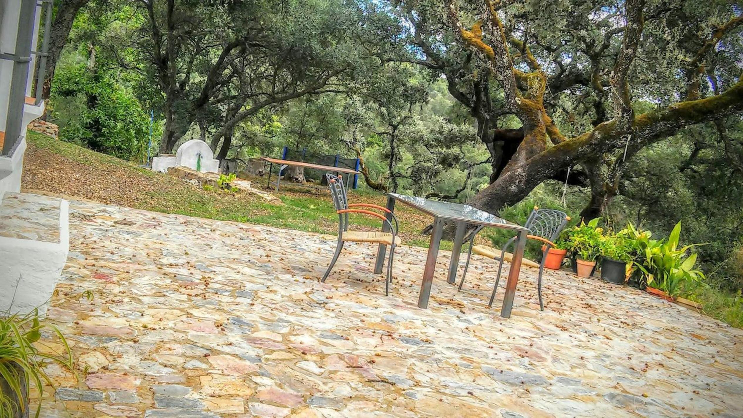 Finca El Gato
