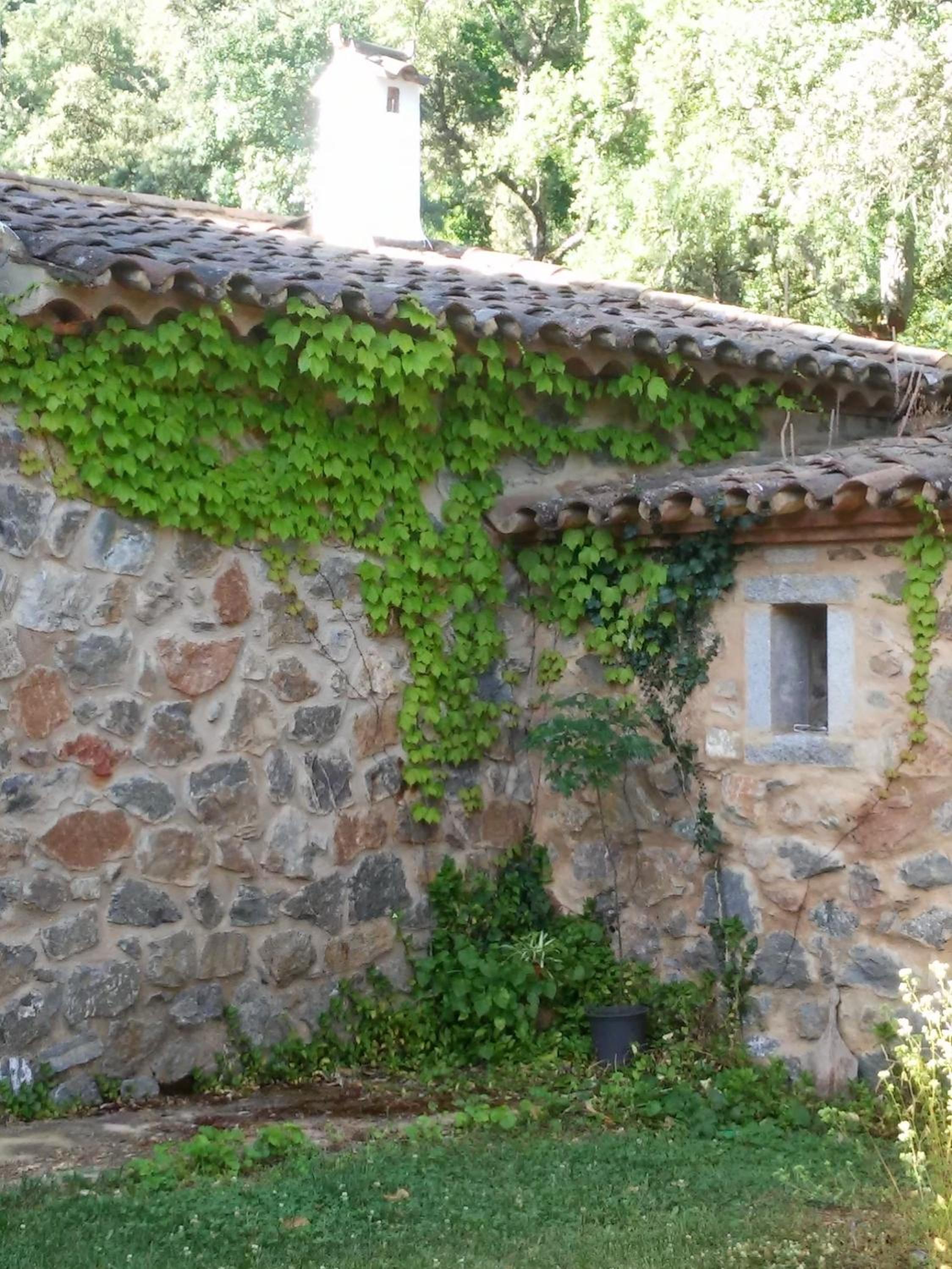 Finca El Gato