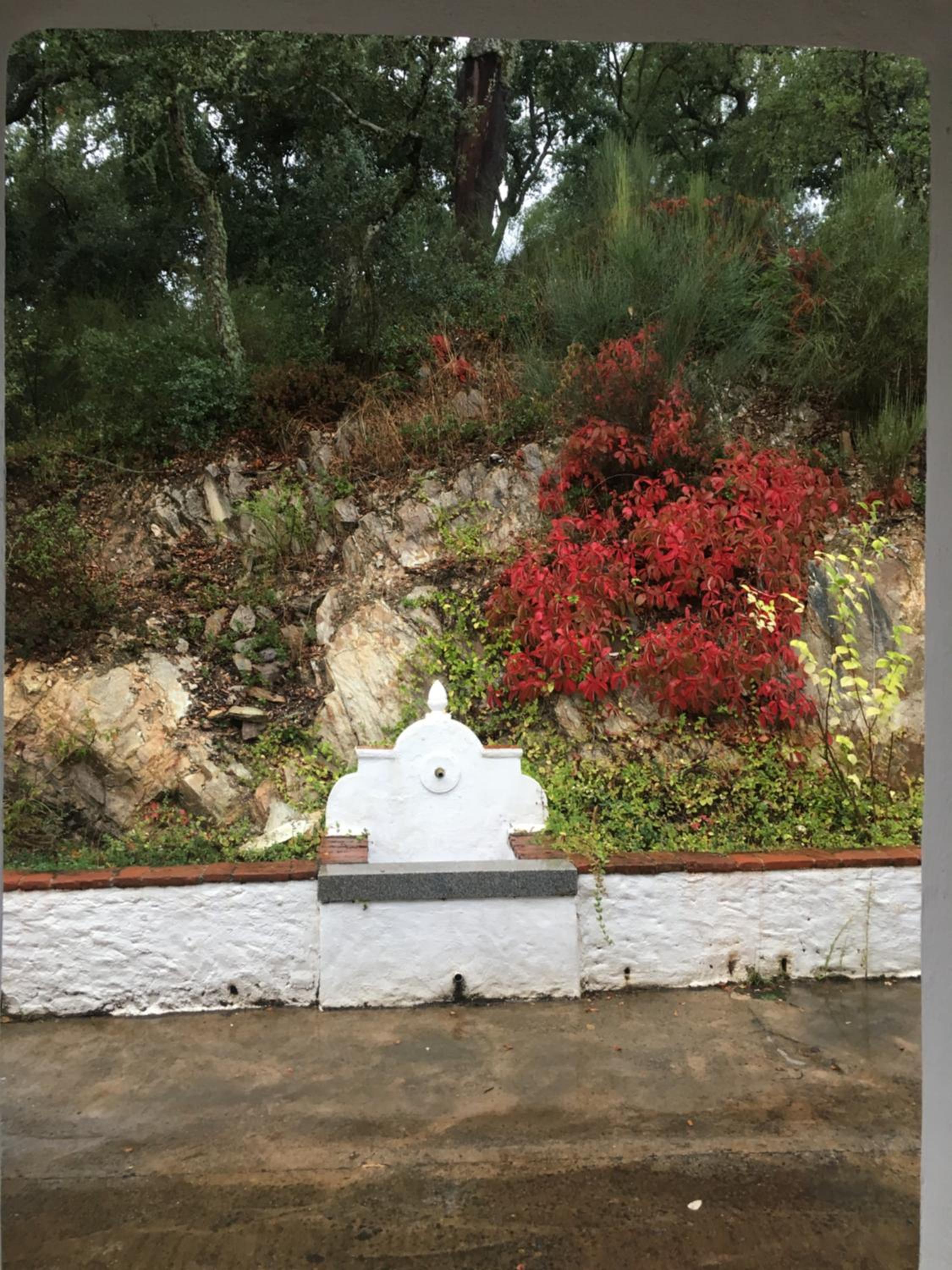 Finca El Gato
