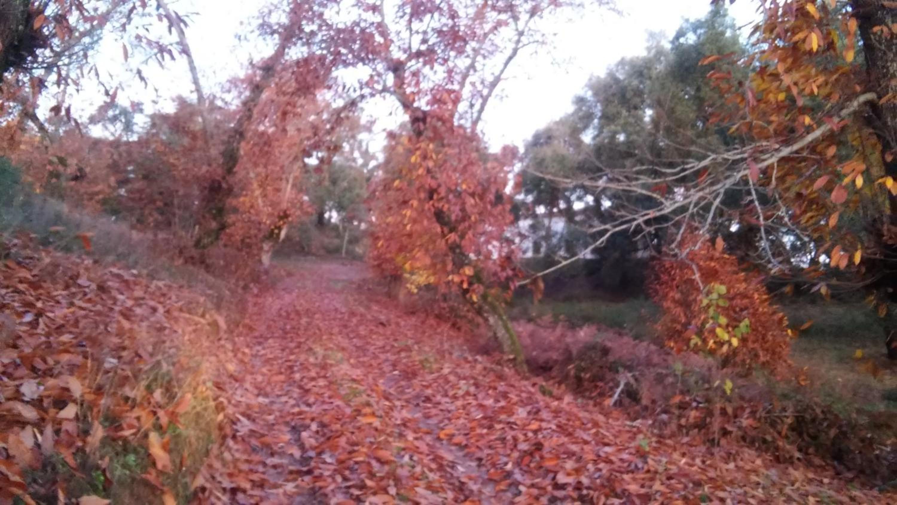 Finca El Gato