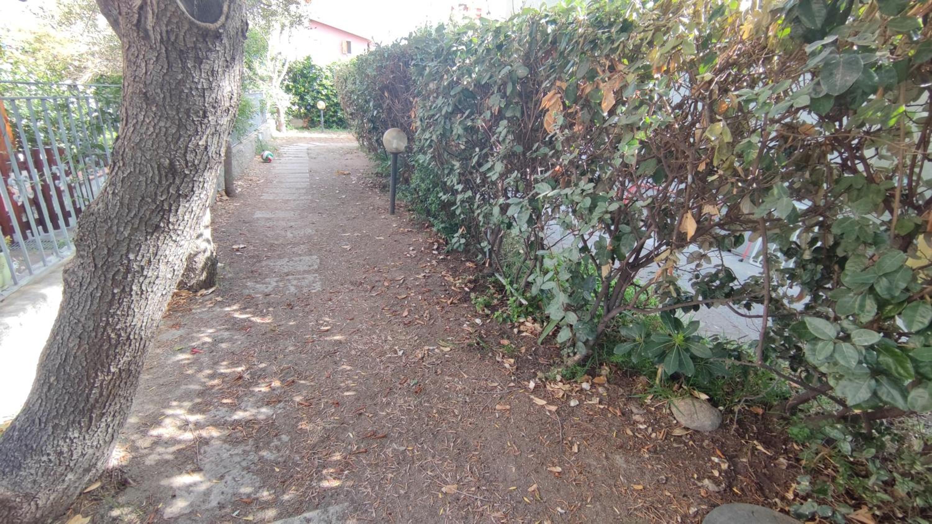 Photo 40