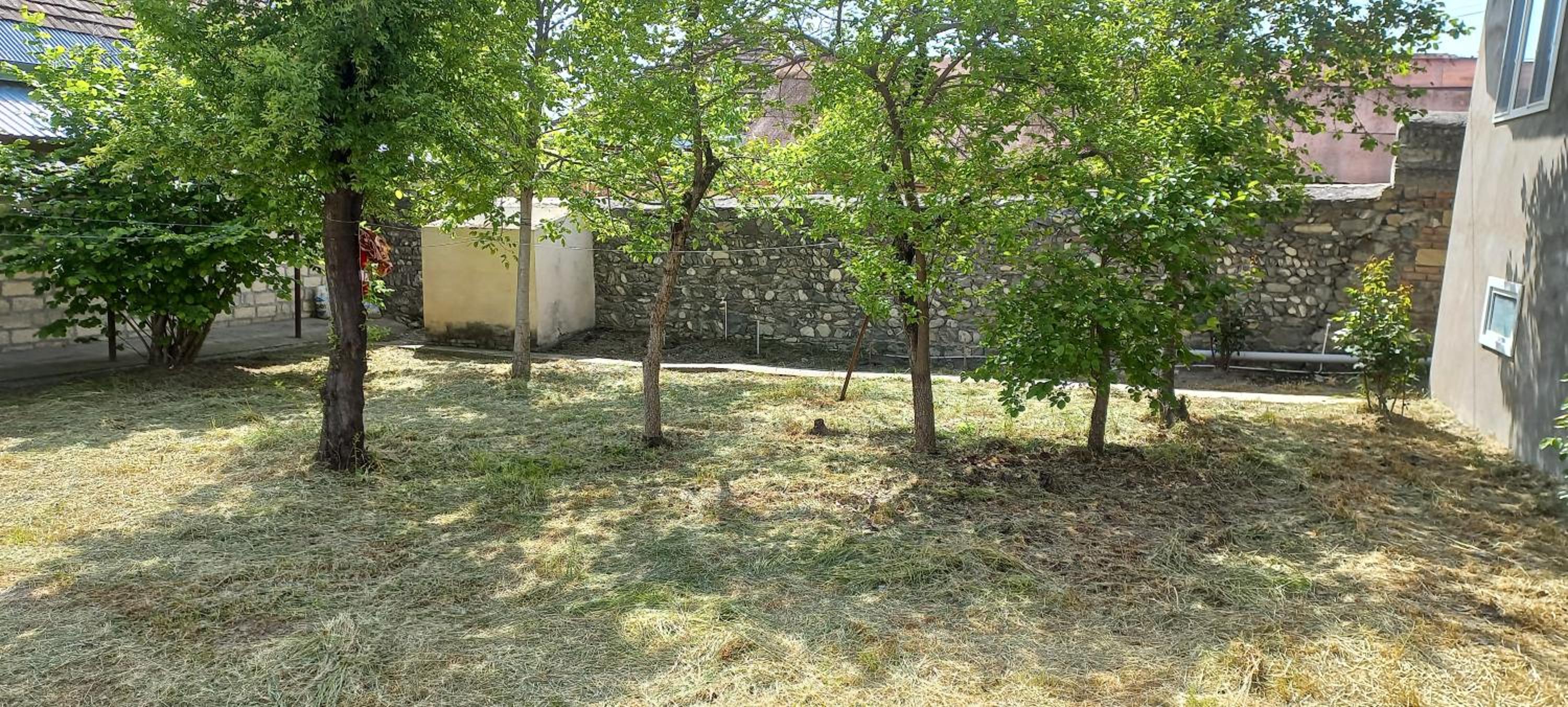 Rovshan's house
