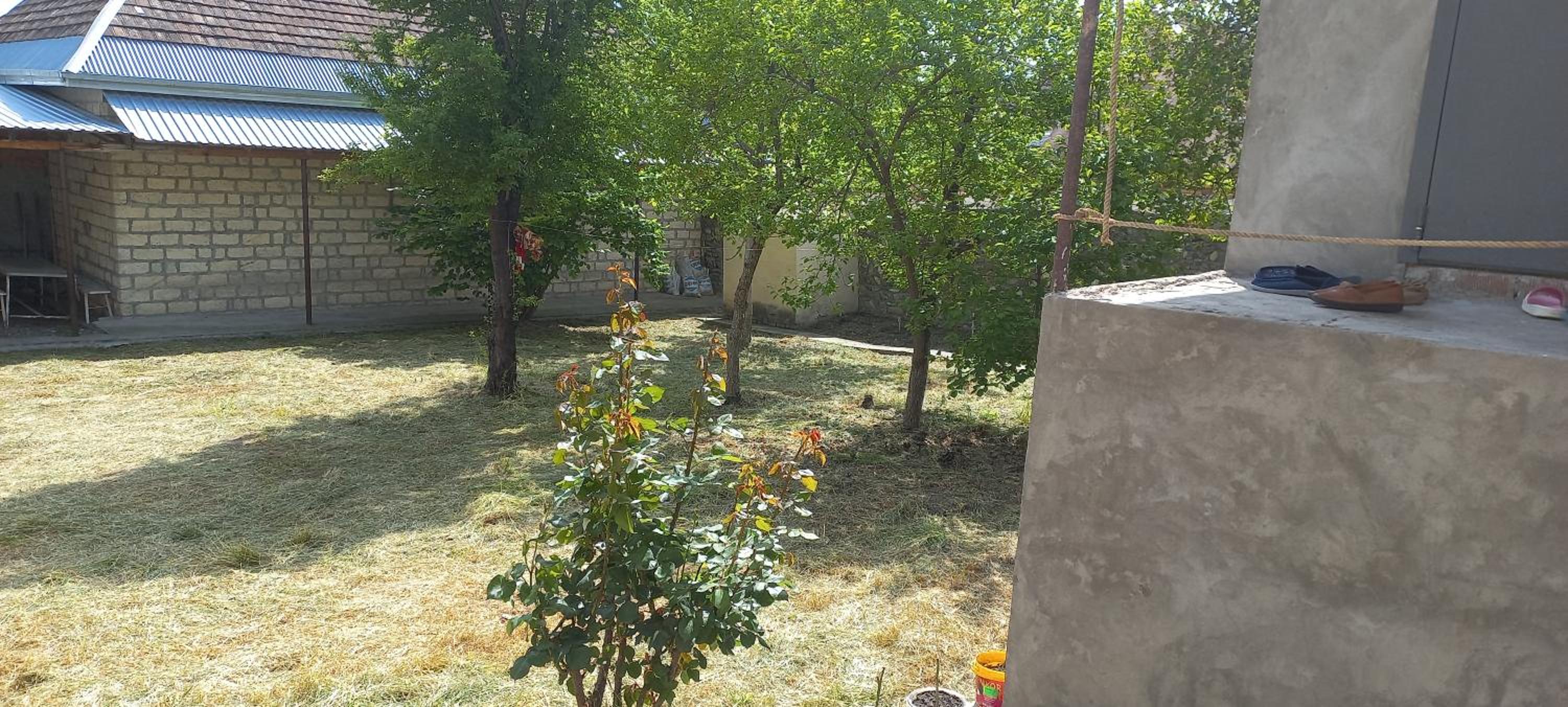 Rovshan's house