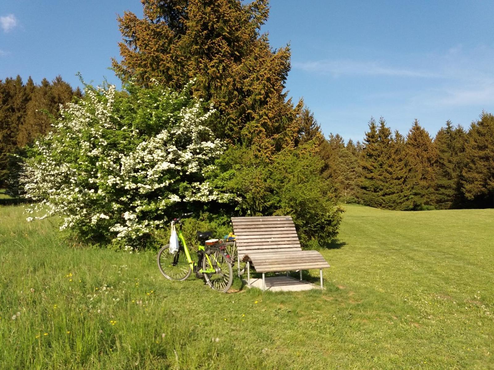 Villa Leni im Schwarzwald