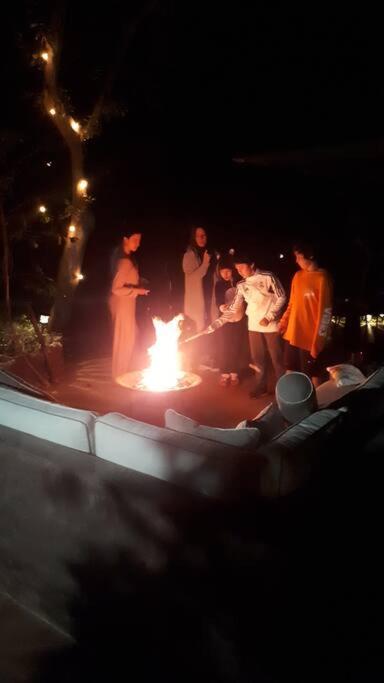 Photo 19