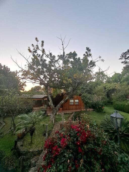 Casa Nora Malinalco huerto con alberca climatizada view 2