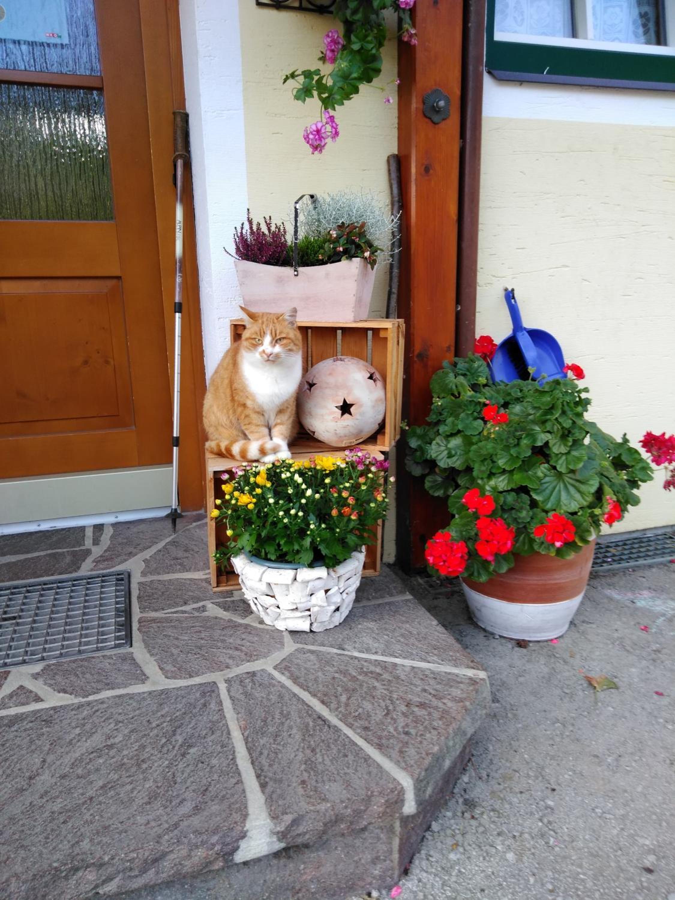 Linarhof Apartment Urlaub am Bio Bauernhof