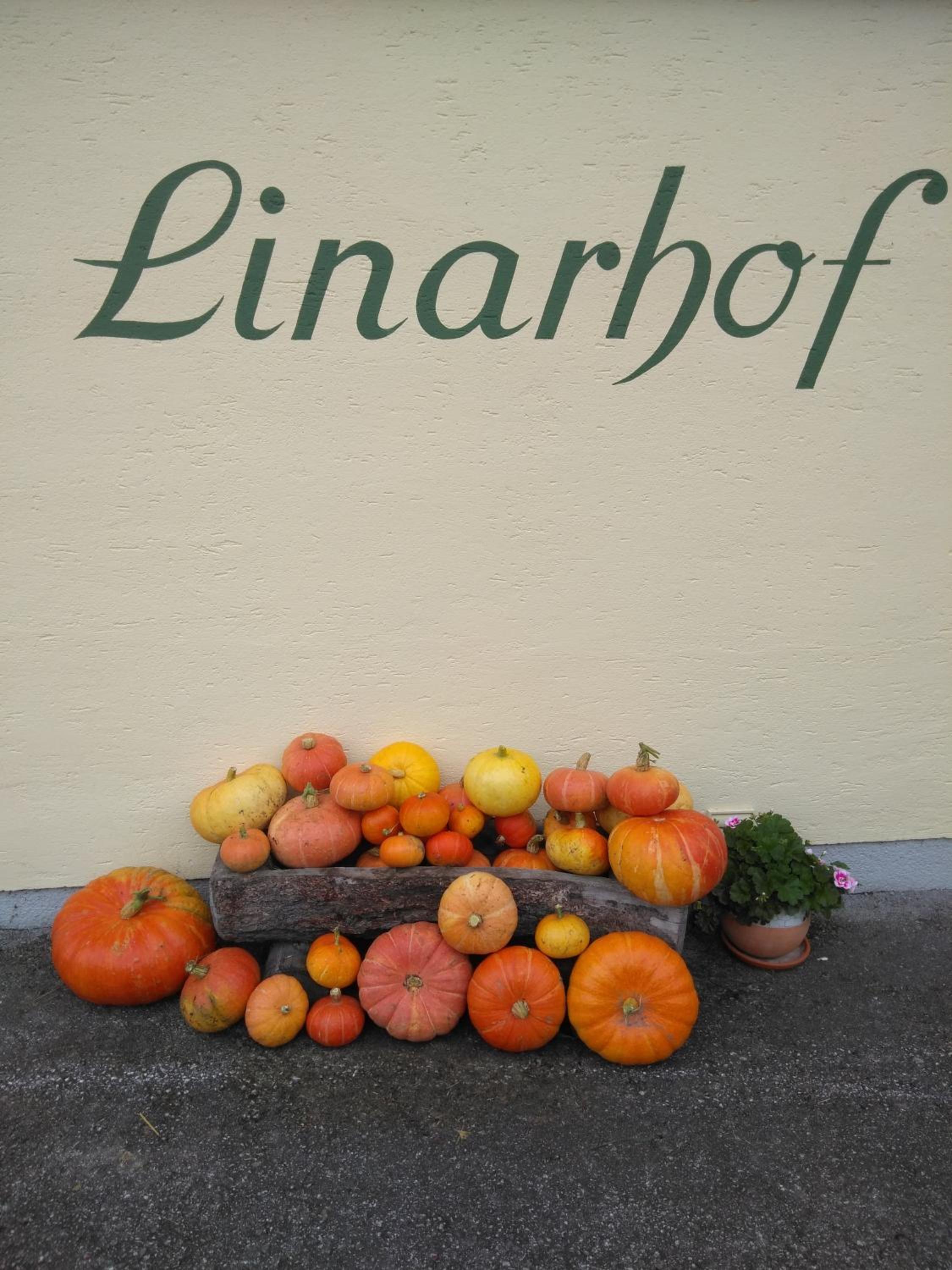 Linarhof Apartment Urlaub am Bio Bauernhof