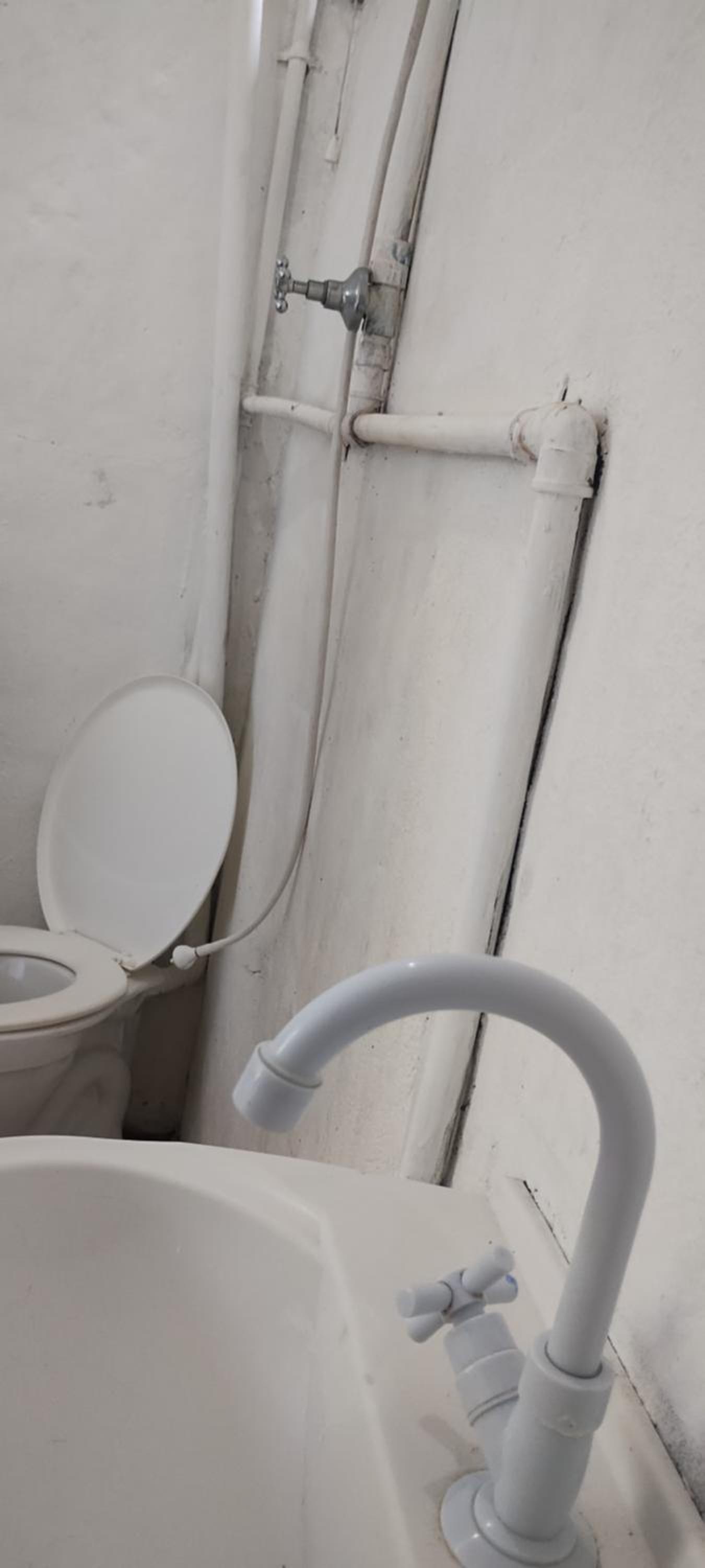 Suíte 2 beliches, cozinha e quintal compartilhados