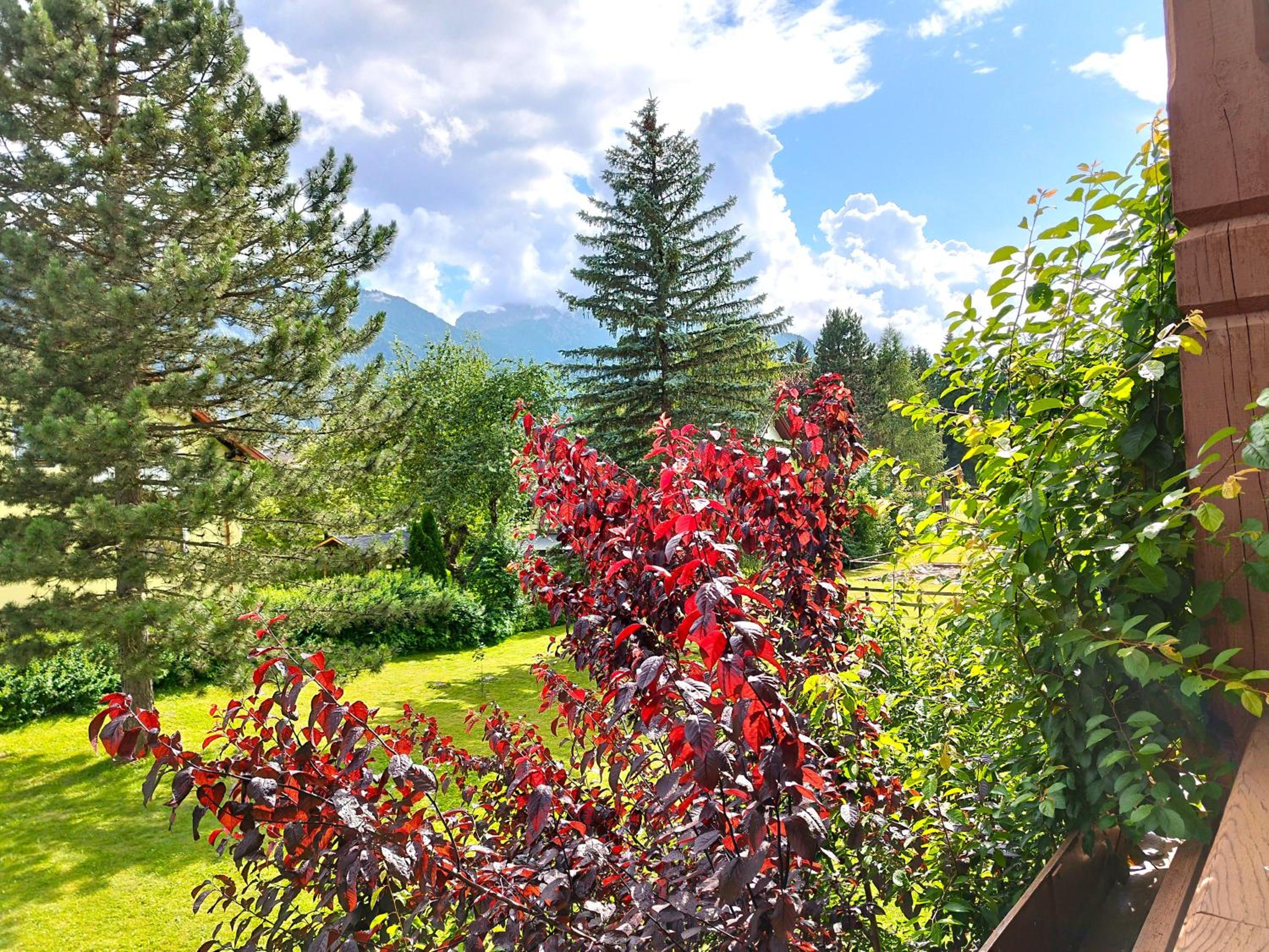 Alpenblick Apartment