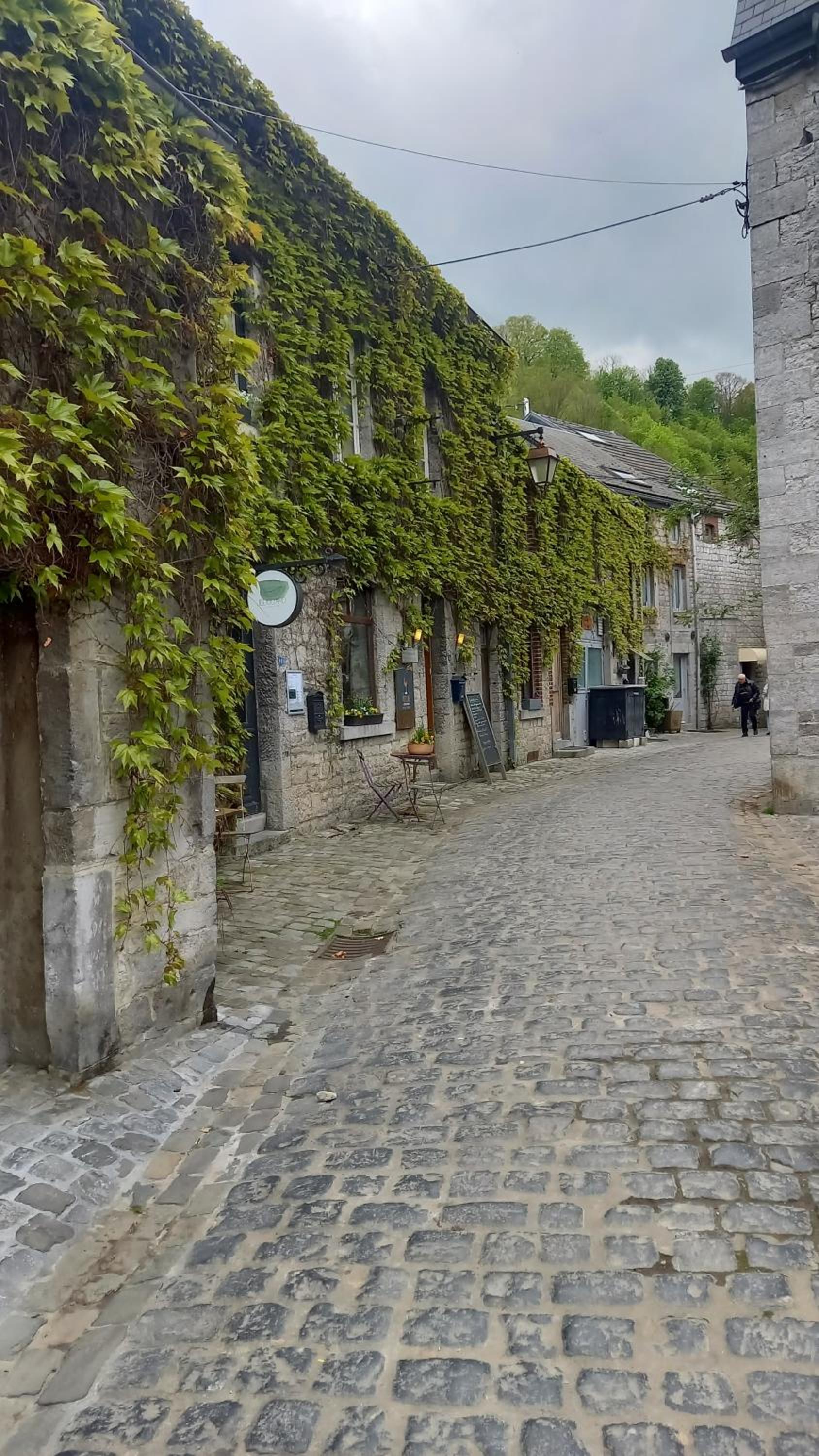 Maison Tronchiennes