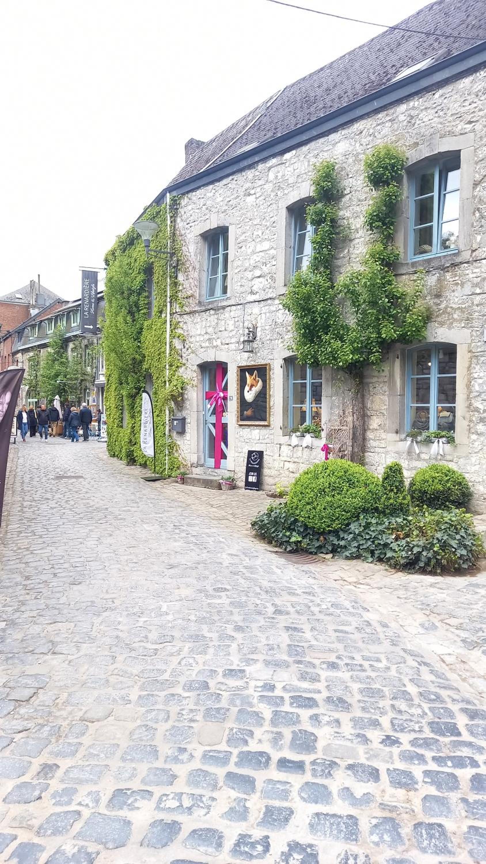 Maison Tronchiennes