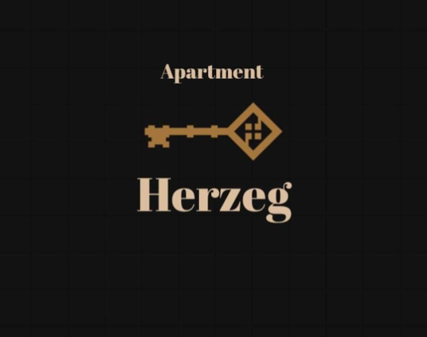 Beautiful view, city center apartment Herzeg