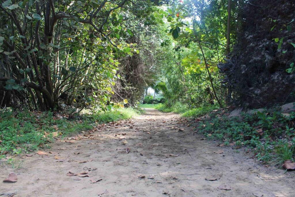 Photo 17