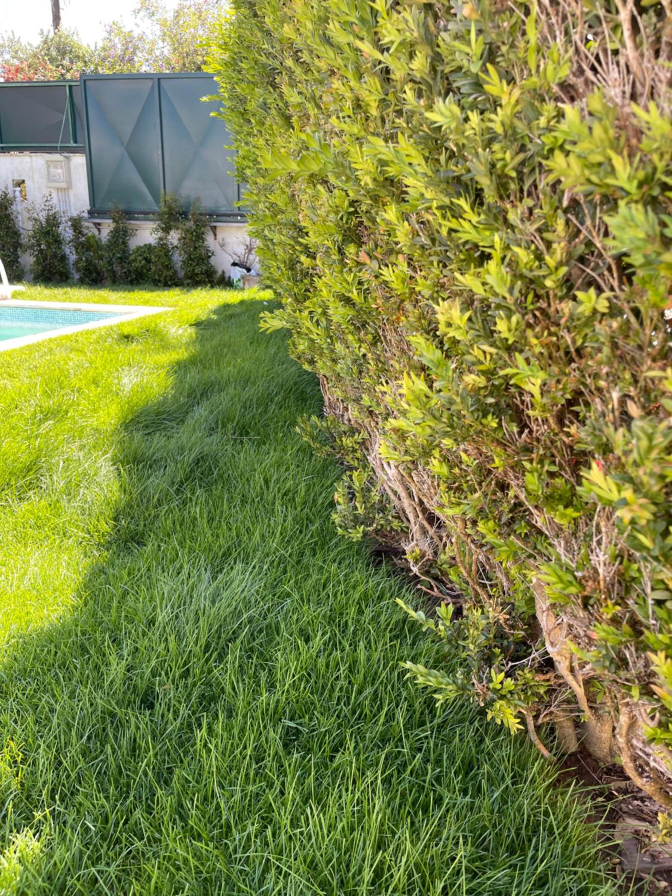 Photo 52