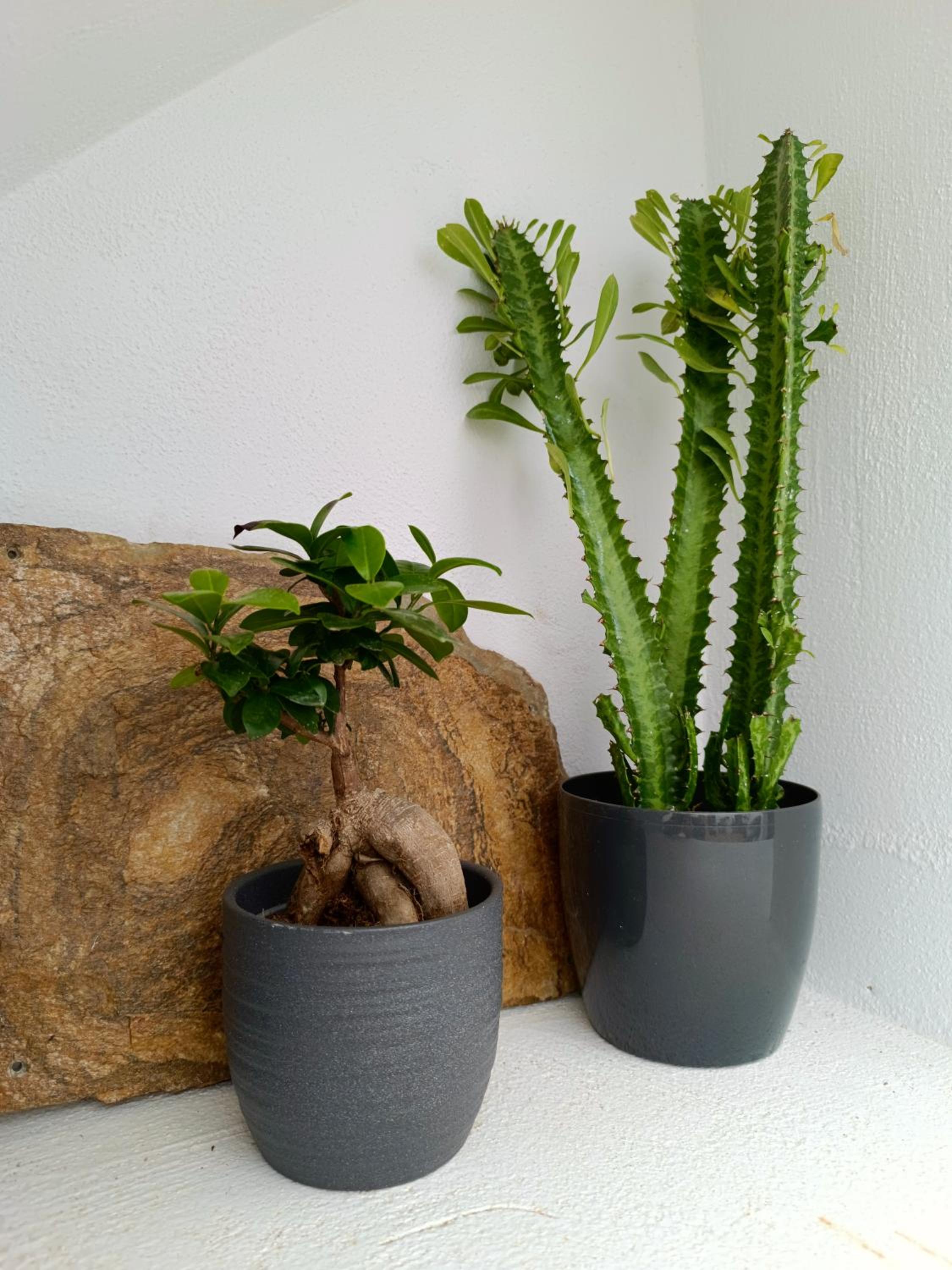 The Wine Cellar House by A Terre Cave Villas photo 5