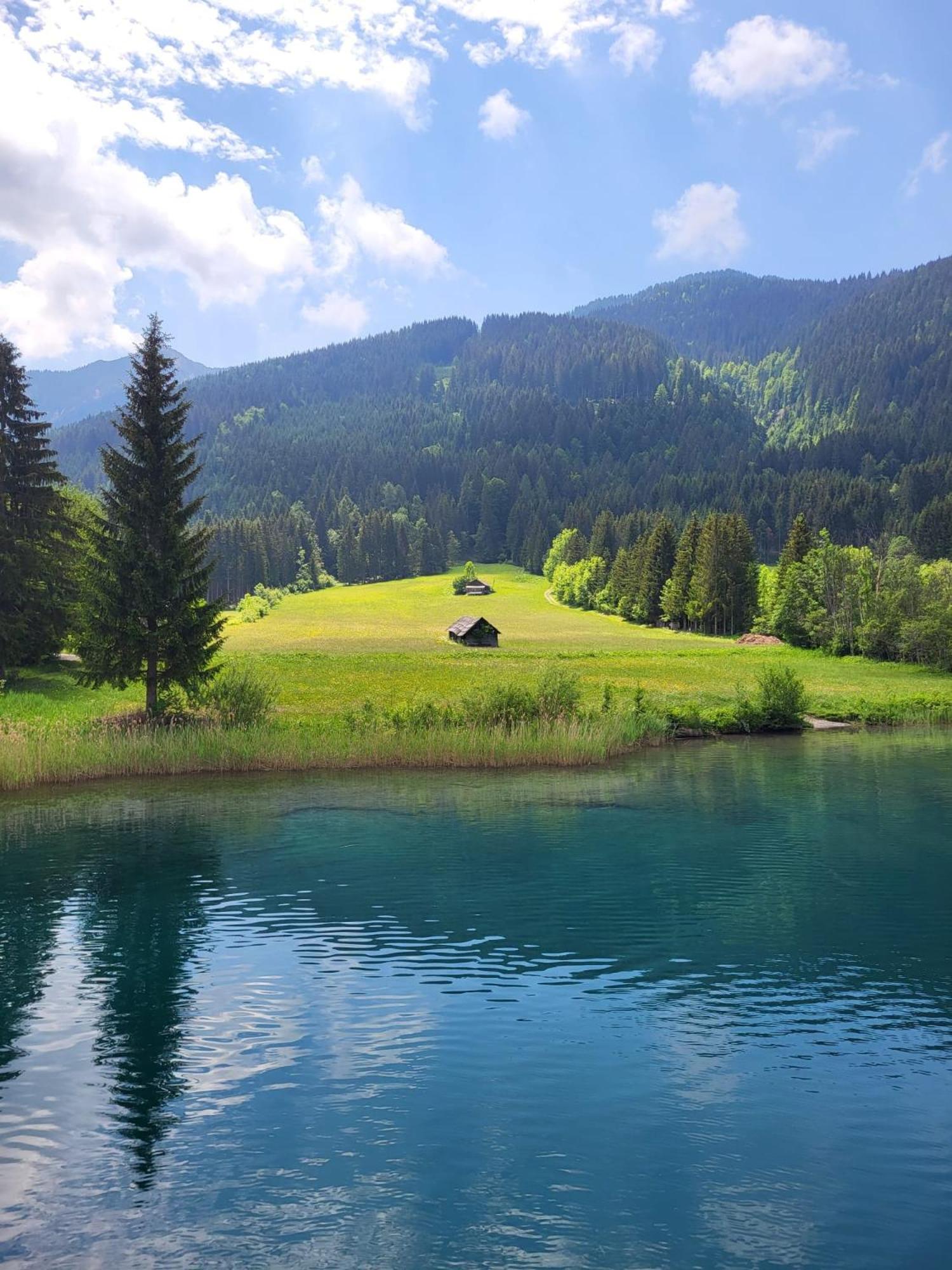 Alpenblick Apartment