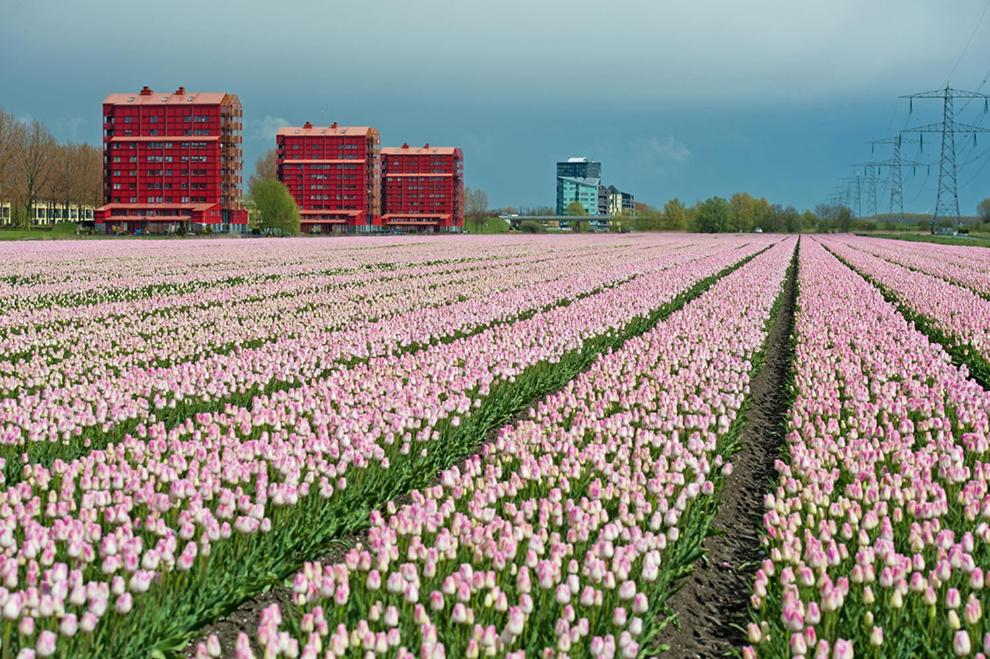 Ecolodge Almere