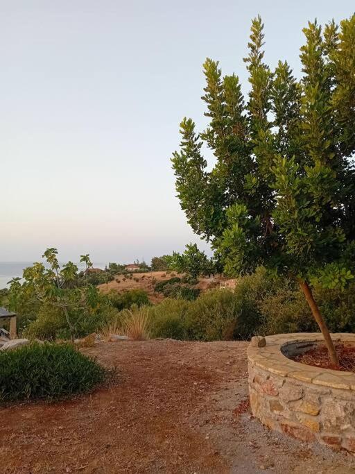 Sofia's summer house view 3