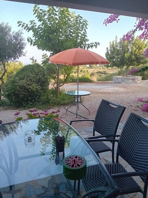 Sofia's summer house view 5