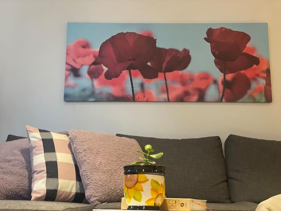 Modern 1BD ; Pool, Gym, Secure Underground Carpark