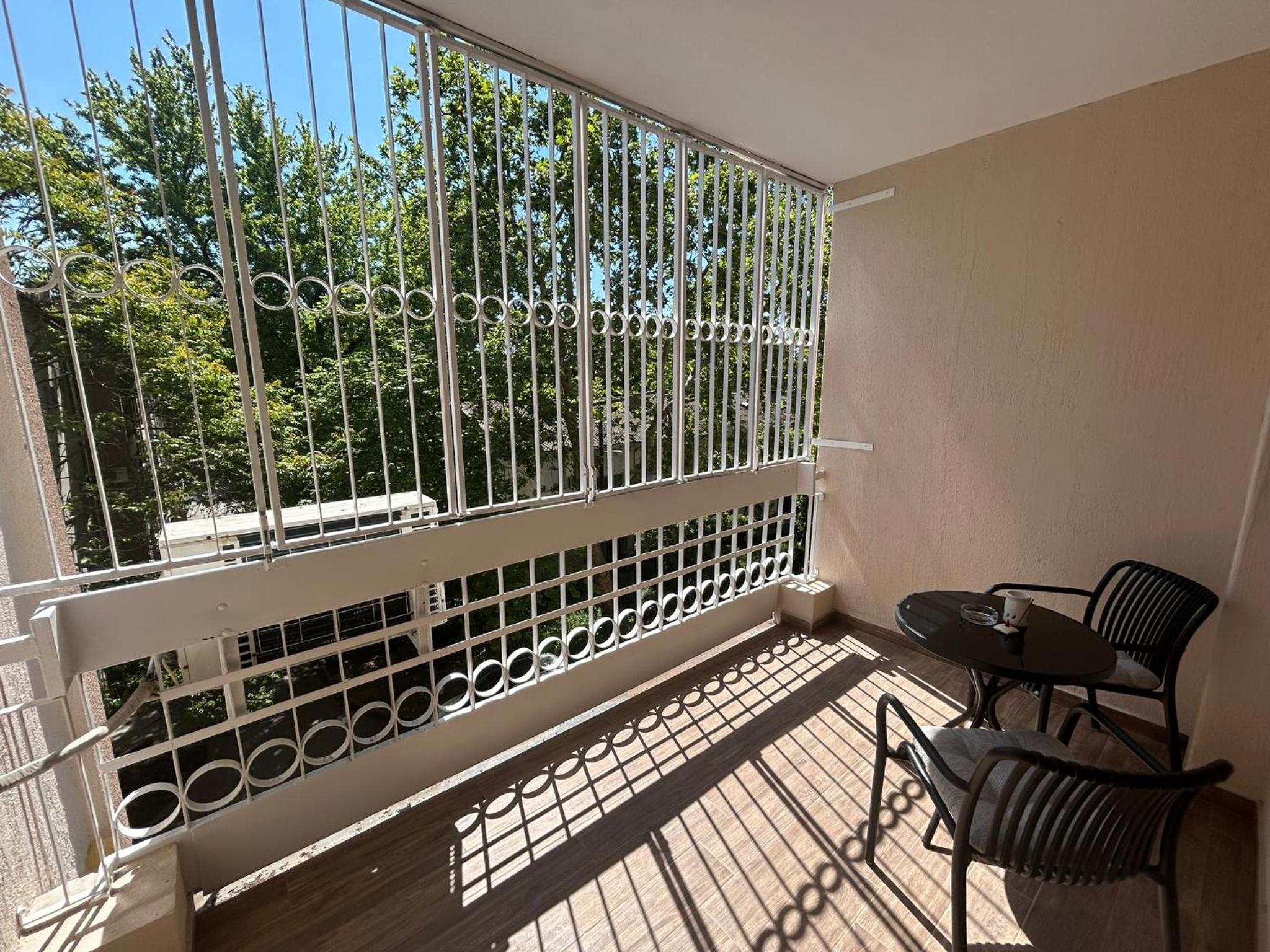 Basic de Lux Apartment view 2