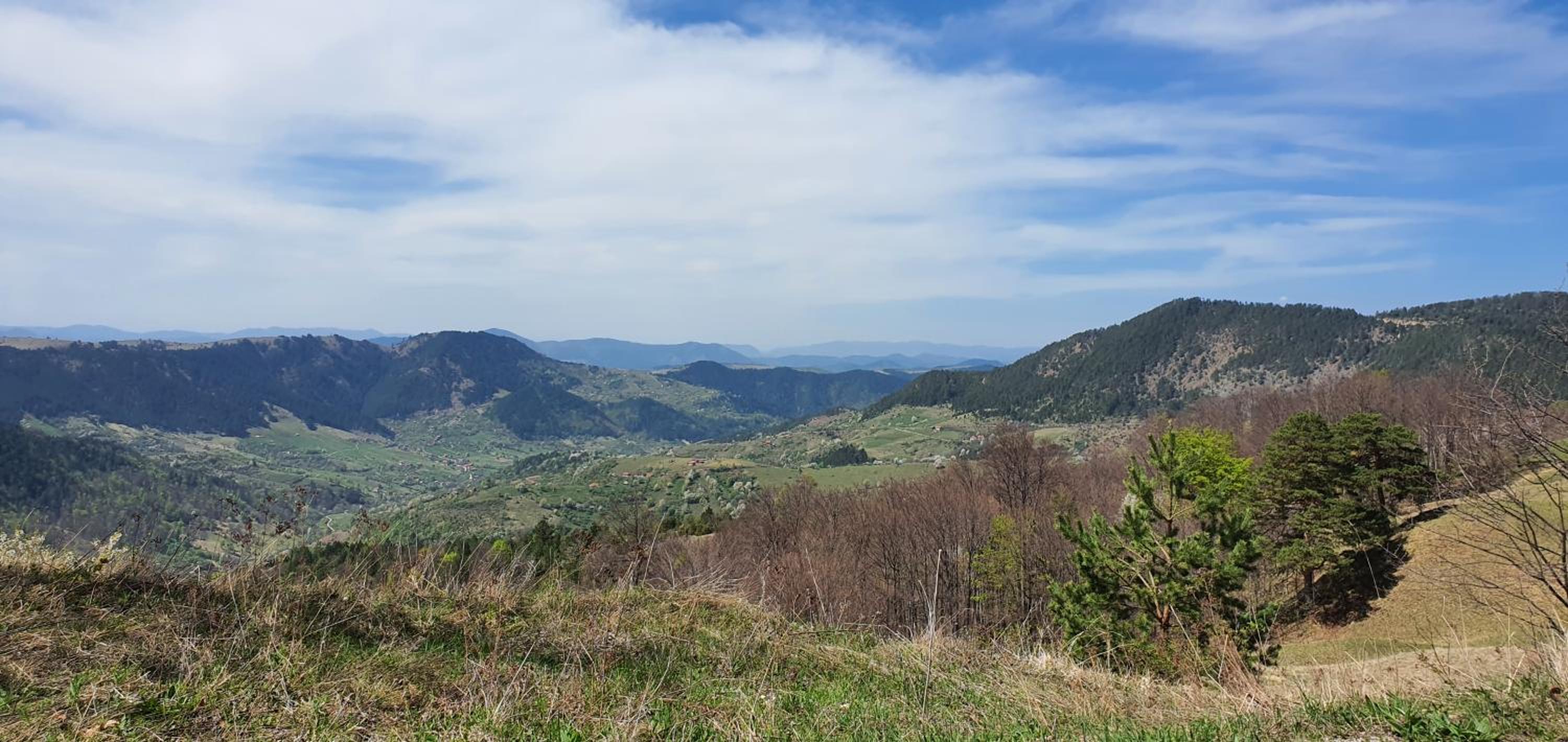 Zlatiborska Brvnara Rebic Mountain House