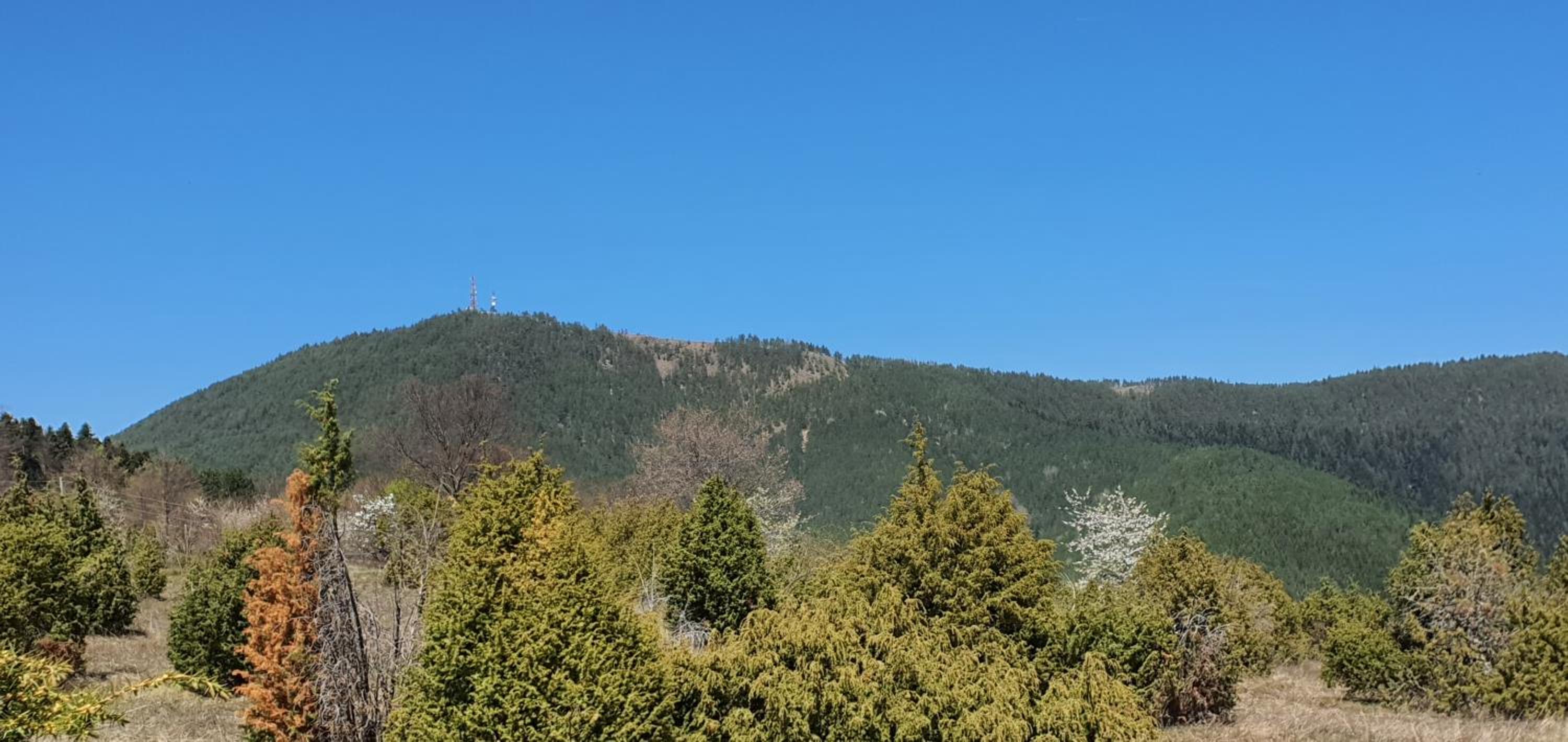 Zlatiborska Brvnara Rebic Mountain House