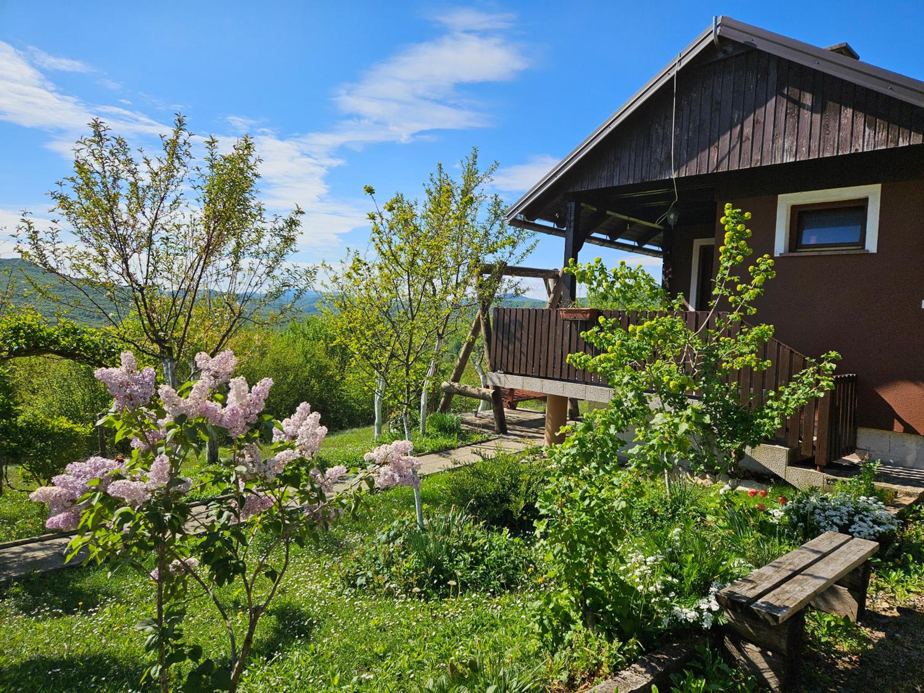 Cozy Bungalow Stipe view 2