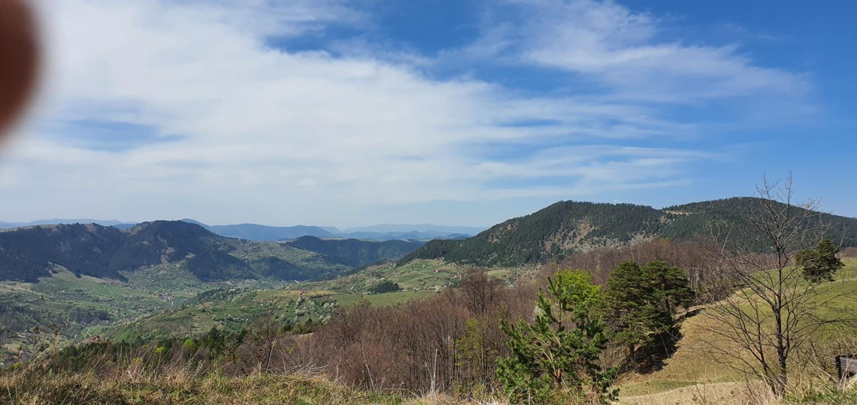 Zlatiborska Brvnara Rebic Mountain House