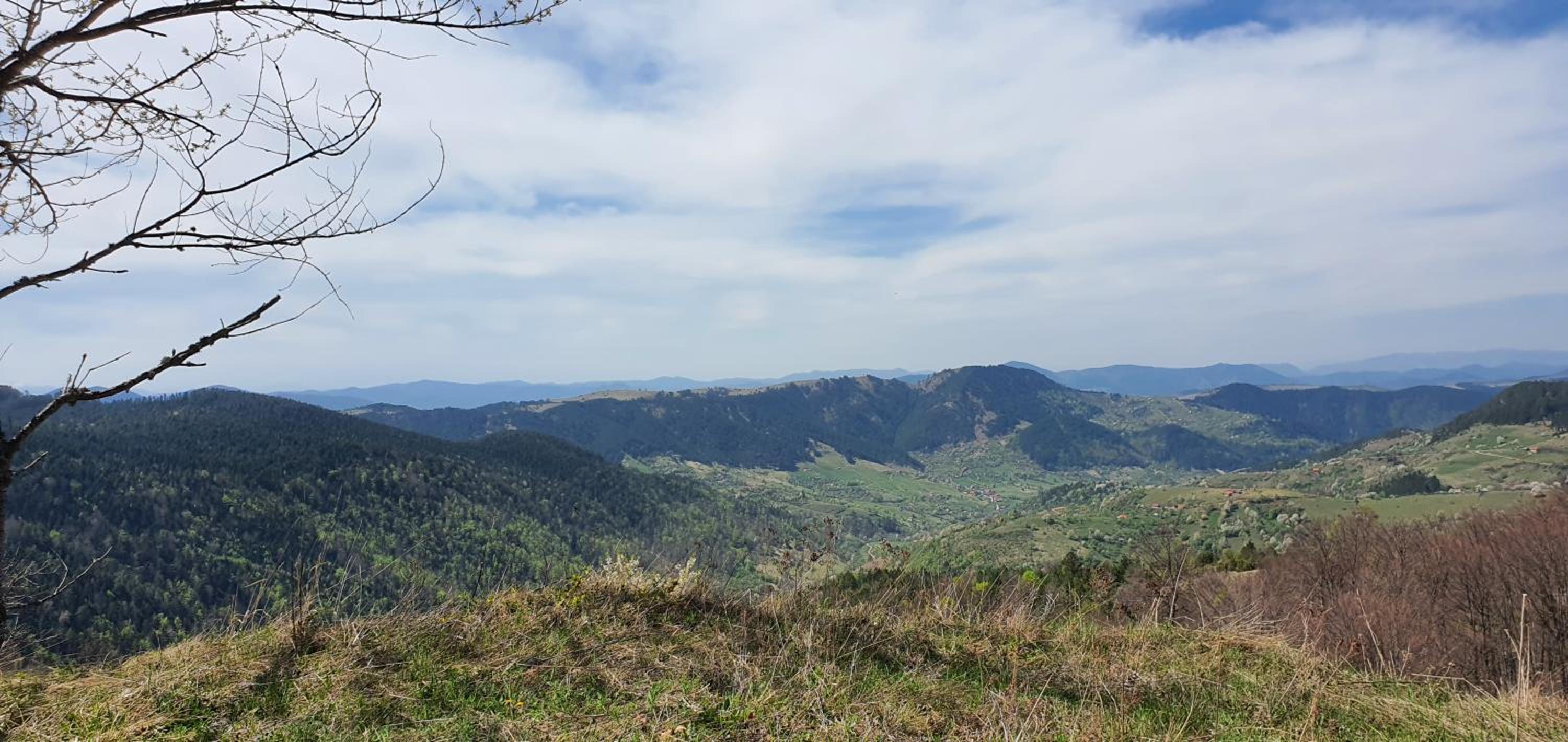 Zlatiborska Brvnara Rebic Mountain House