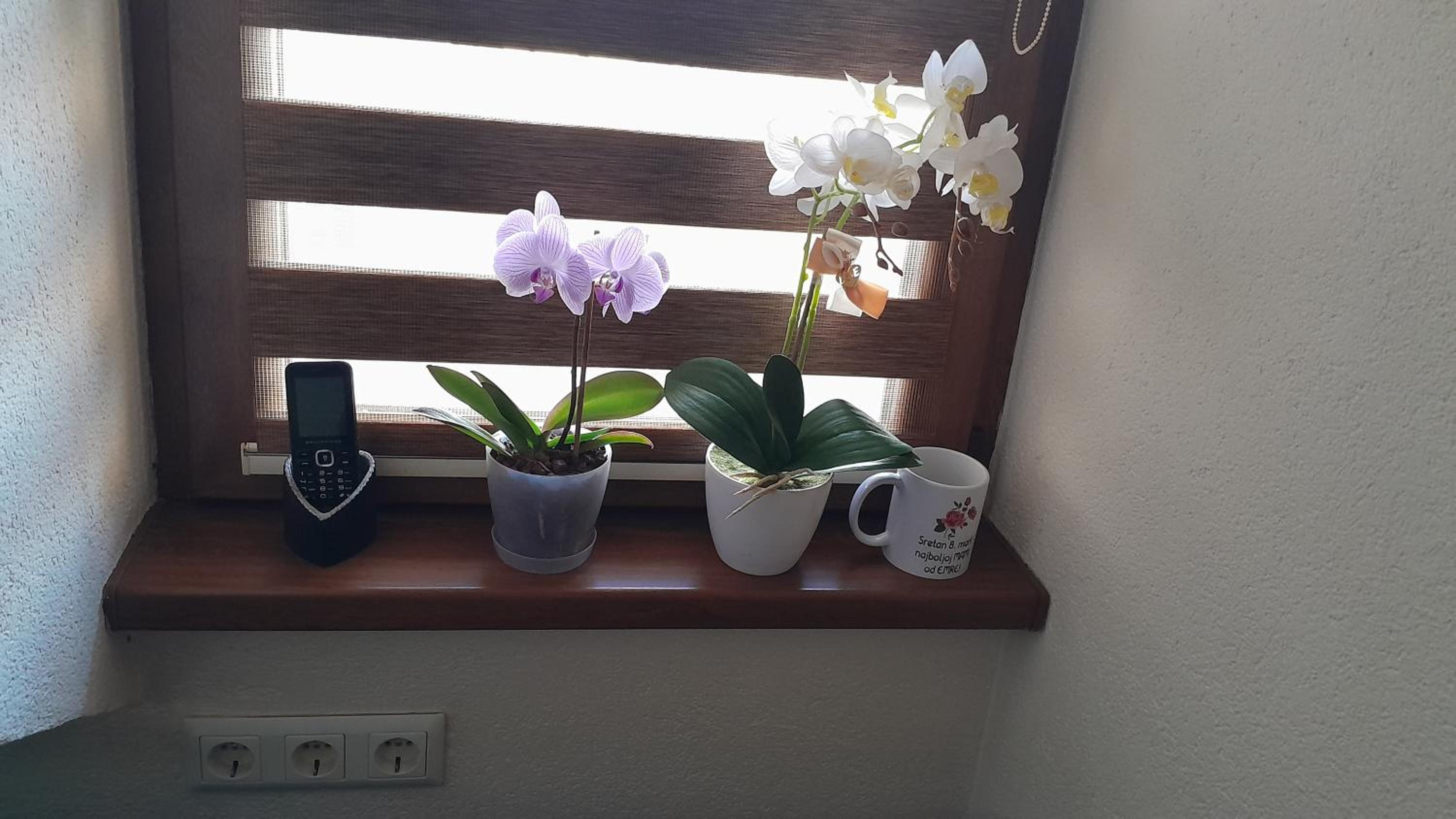Apartman Begić