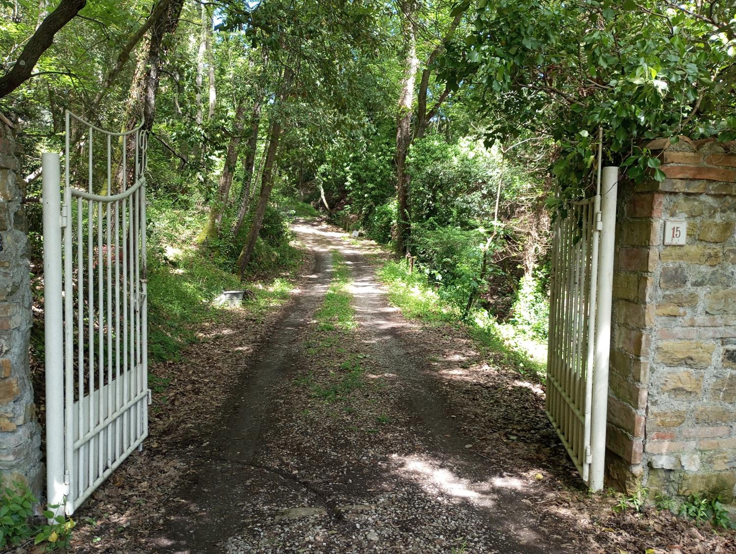 Il Bosco del Lebbio