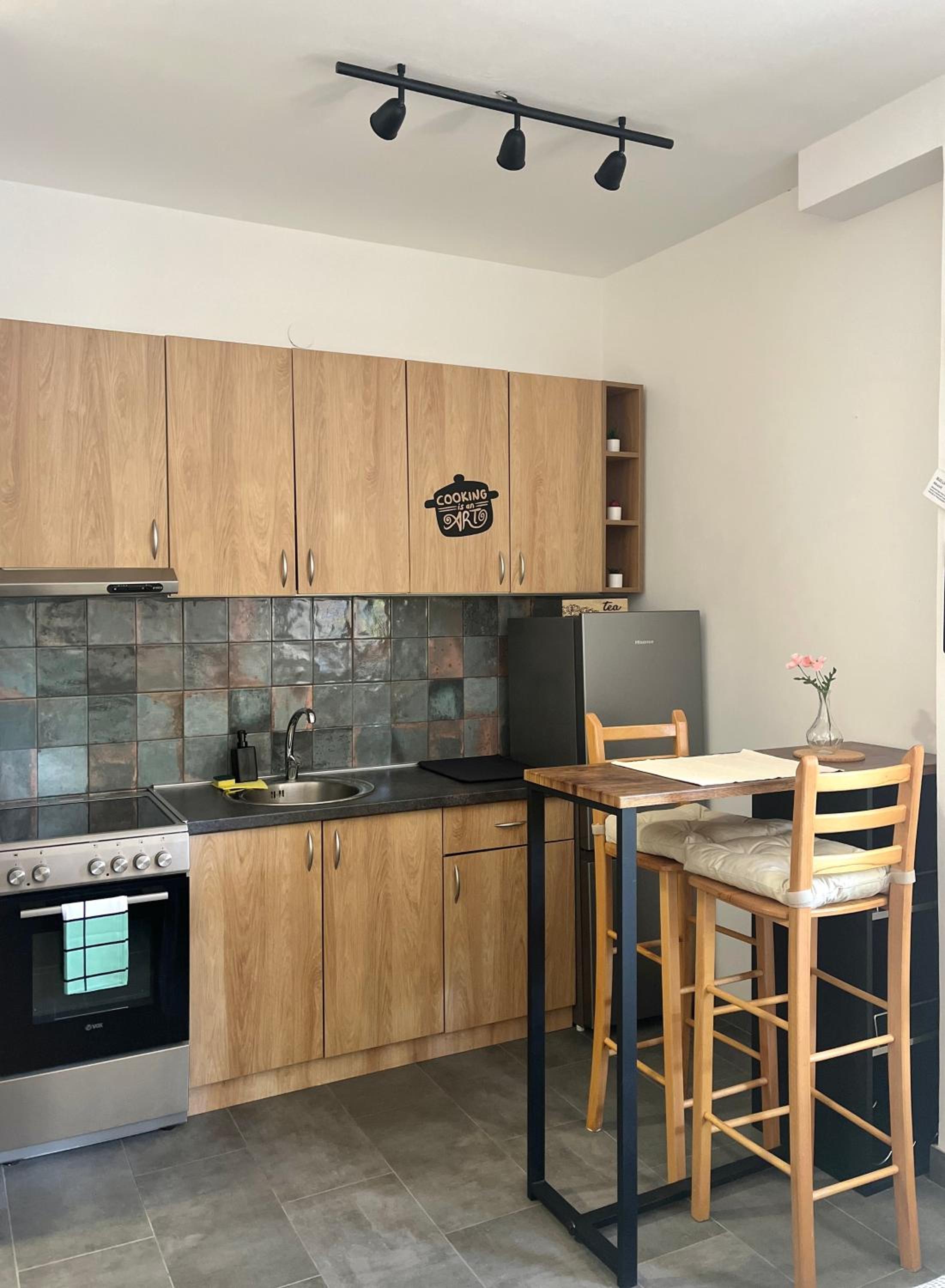 Cozy Studio on Bulevar Evrope - 2 guests view 3