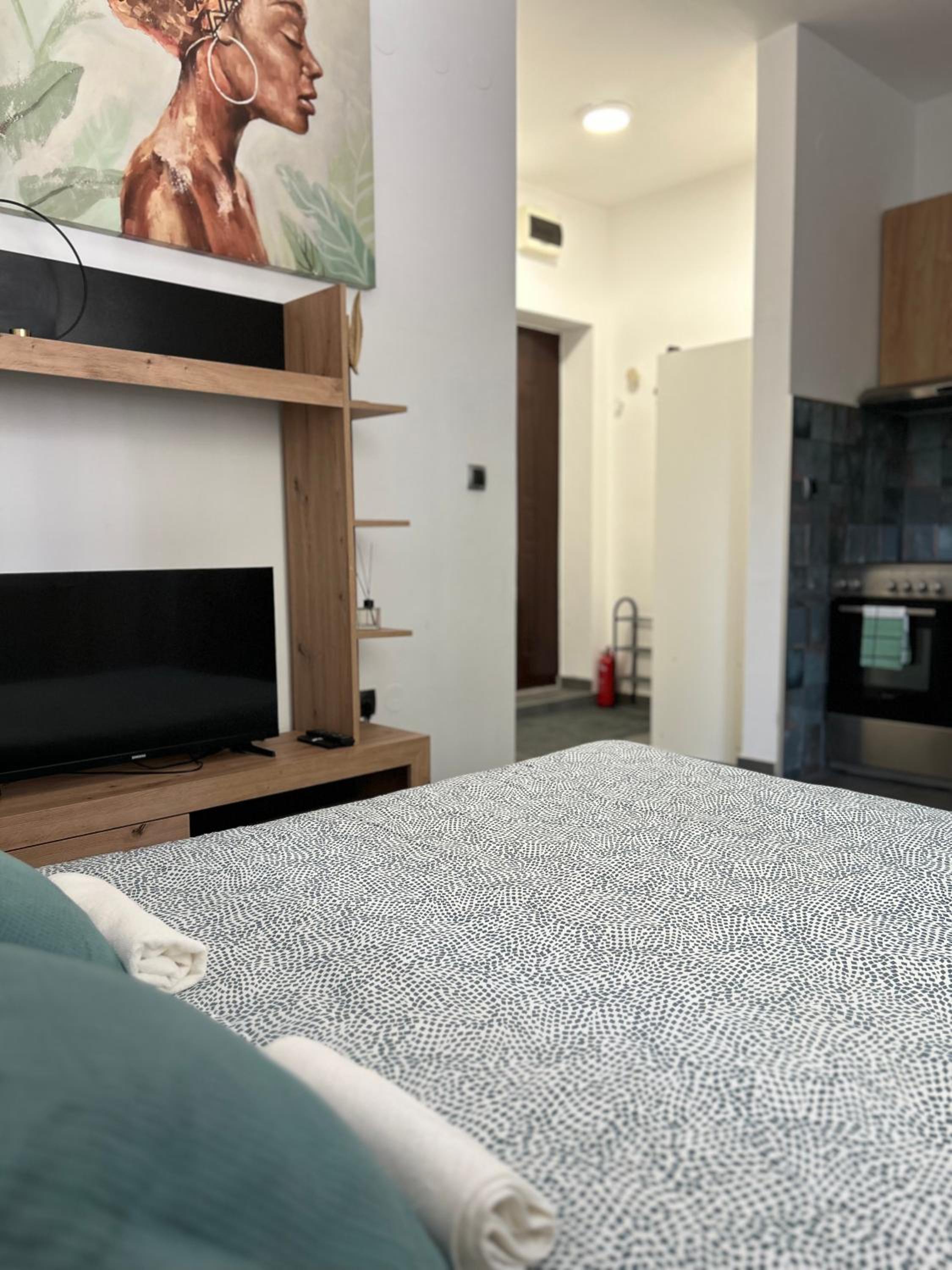 Cozy Studio on Bulevar Evrope - 2 guests view 2