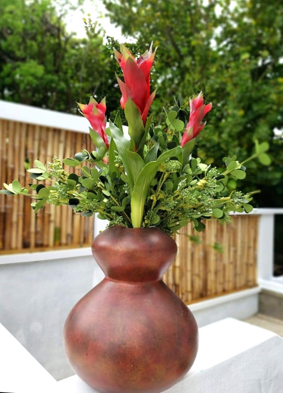 CariVenta