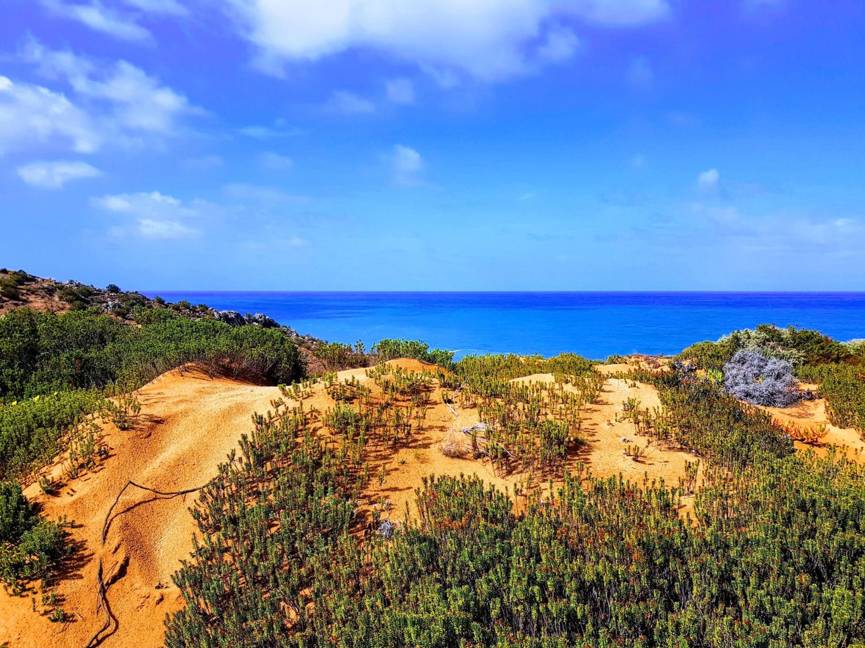 Pinhal do Moinho Beach Flat view 2