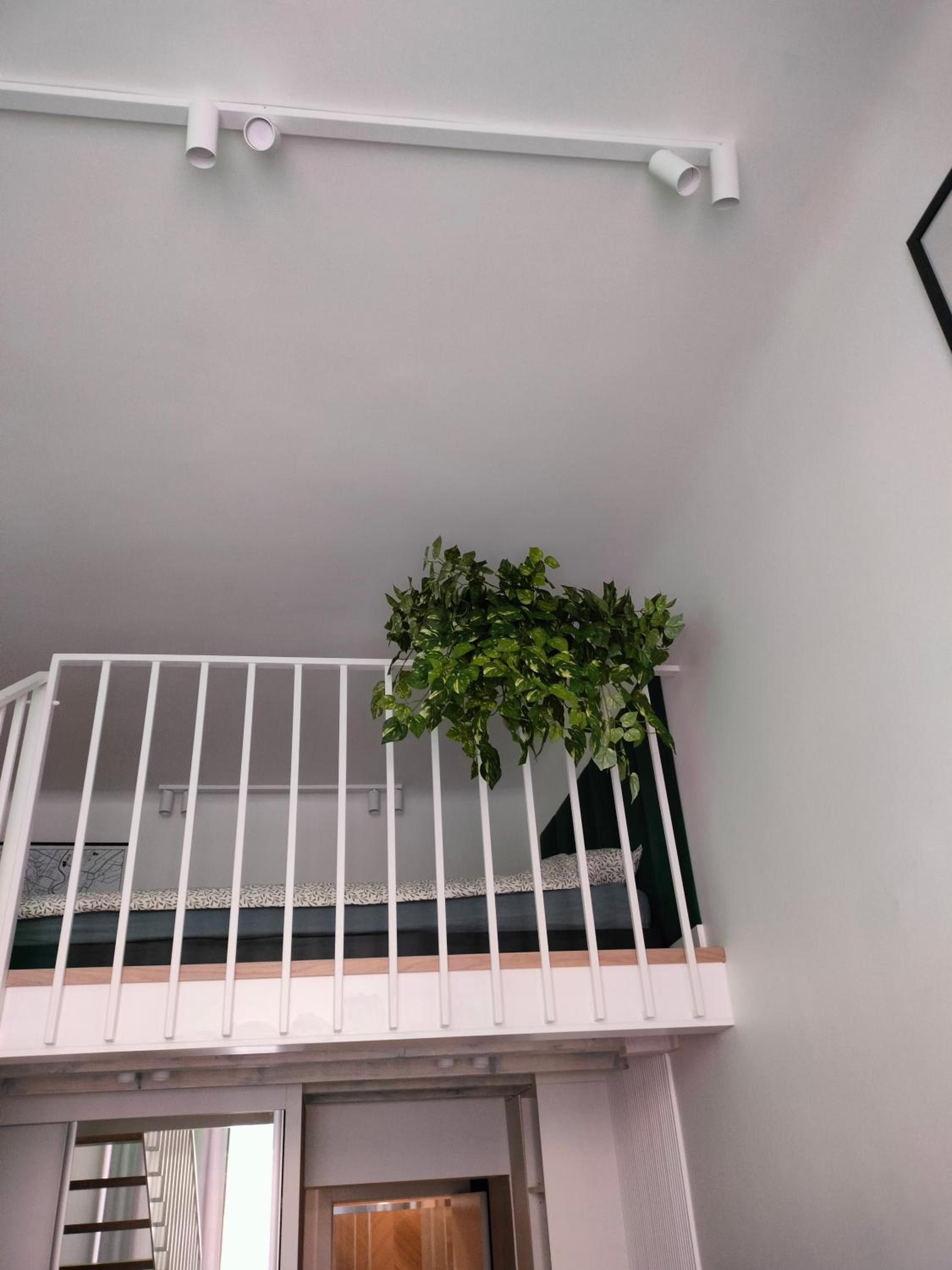 Apartament Paradise Zarządzany przez gospodarza osobę fizyczną Self check in