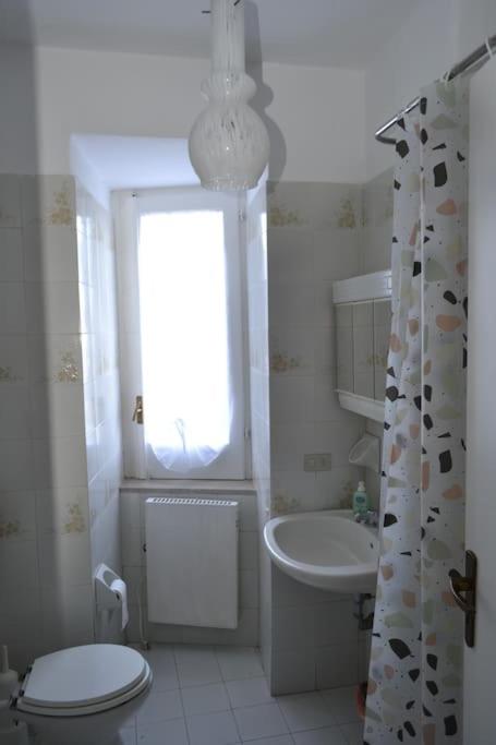 Photo 37
