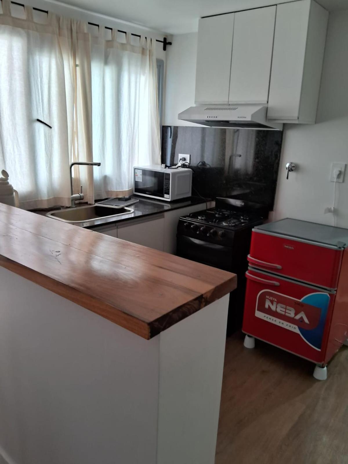 DEPARTAMENTO JARDIN