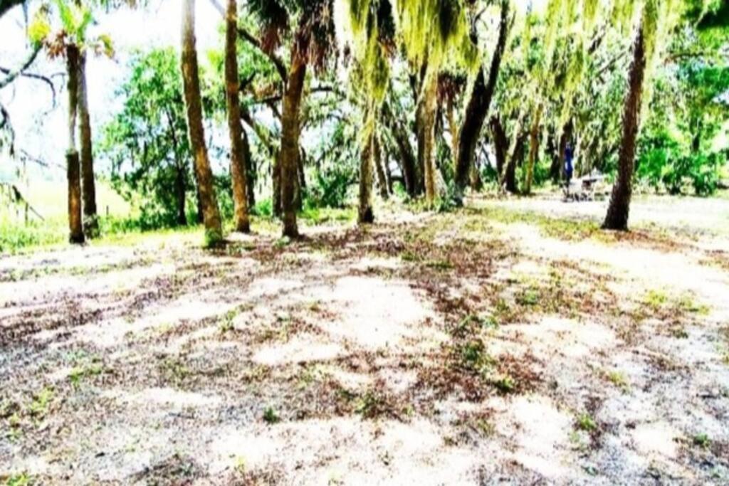 A Secluded Quiet Oasis with Beach Pass