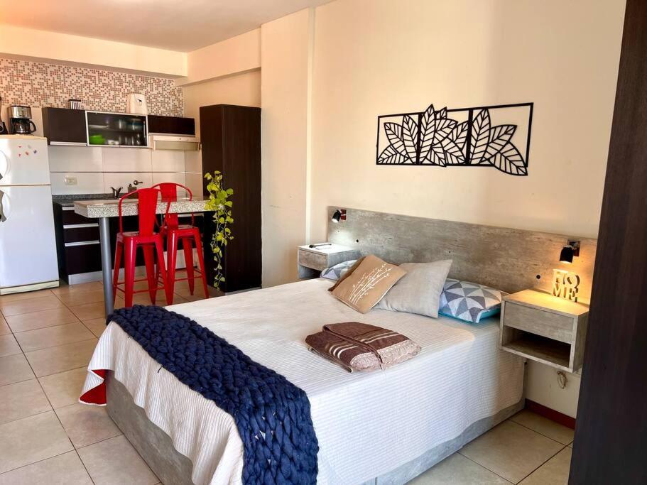 Studio Hermoso en La Mejor Ubicación de Rosario