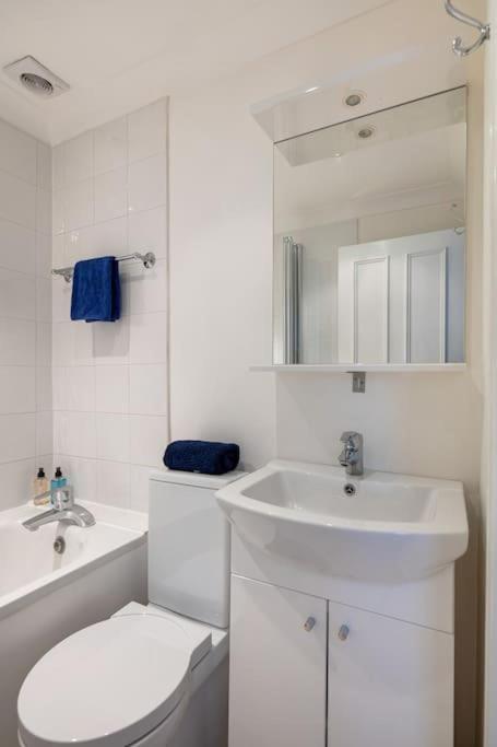 Lovely 1-Bedroom Flat in Pimlico