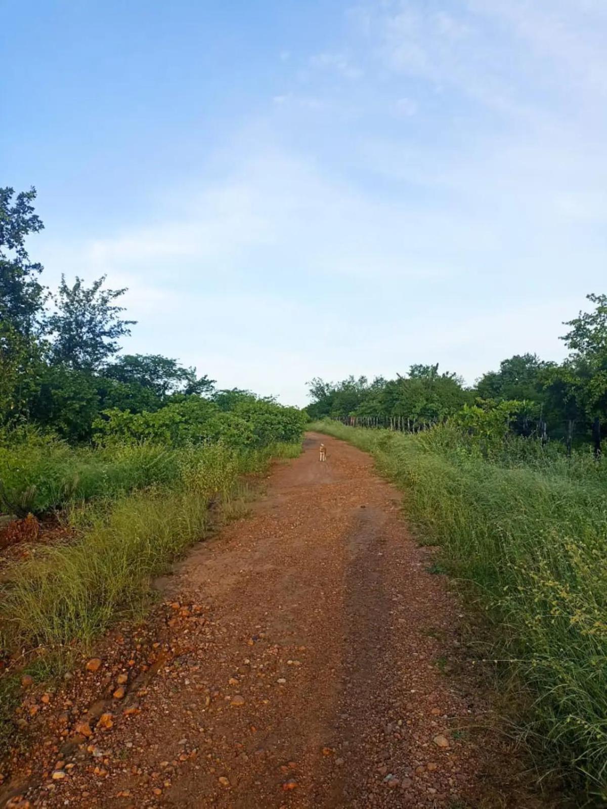 Eco Pousada Tigipió
