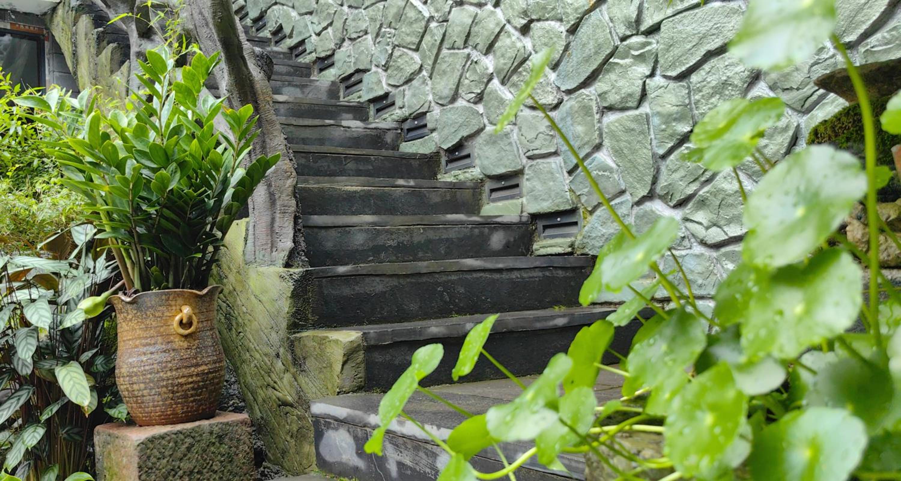 Dream in Fenghuang