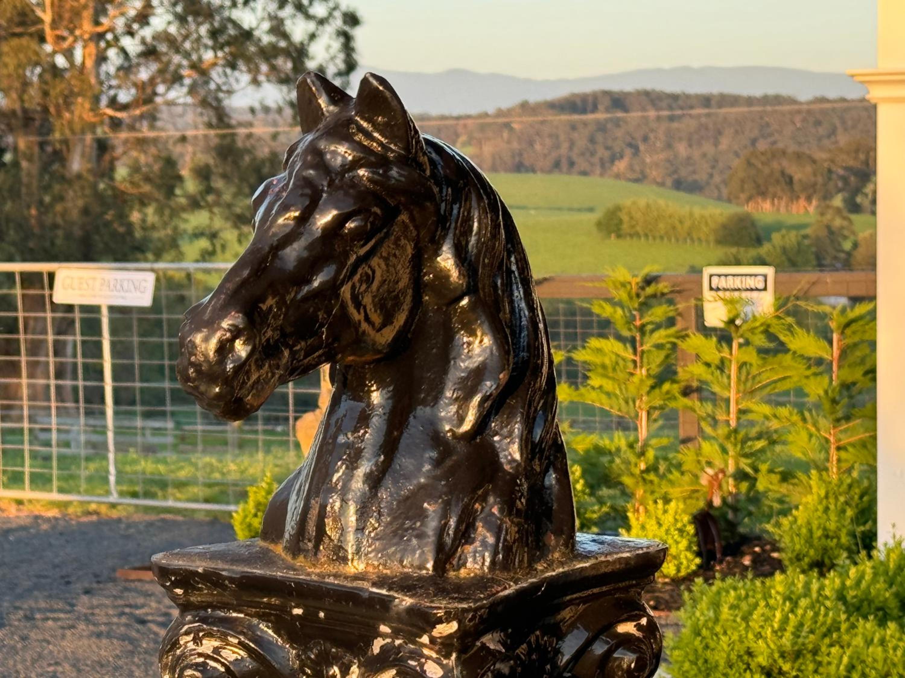 Luxury Truffle Farm Stay Near Melbourne with Stunning Views Scotch Hill