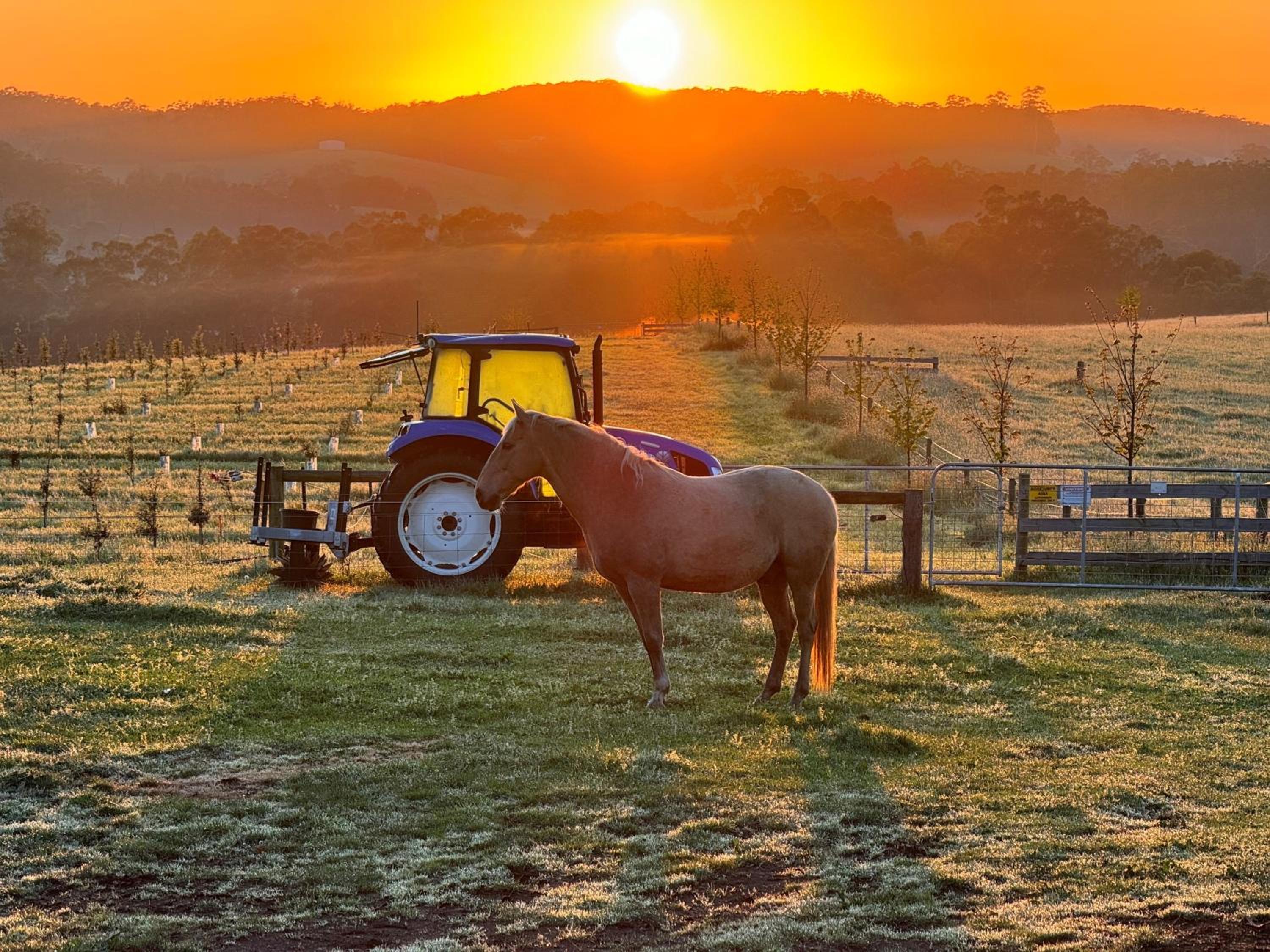 Luxury Truffle Farm Stay Near Melbourne with Stunning Views Scotch Hill