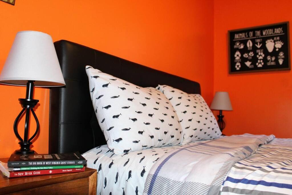 Riverfront Property in NRG National Park near Sandstone Falls- Wi-Fi, Pet-Friendly view 3