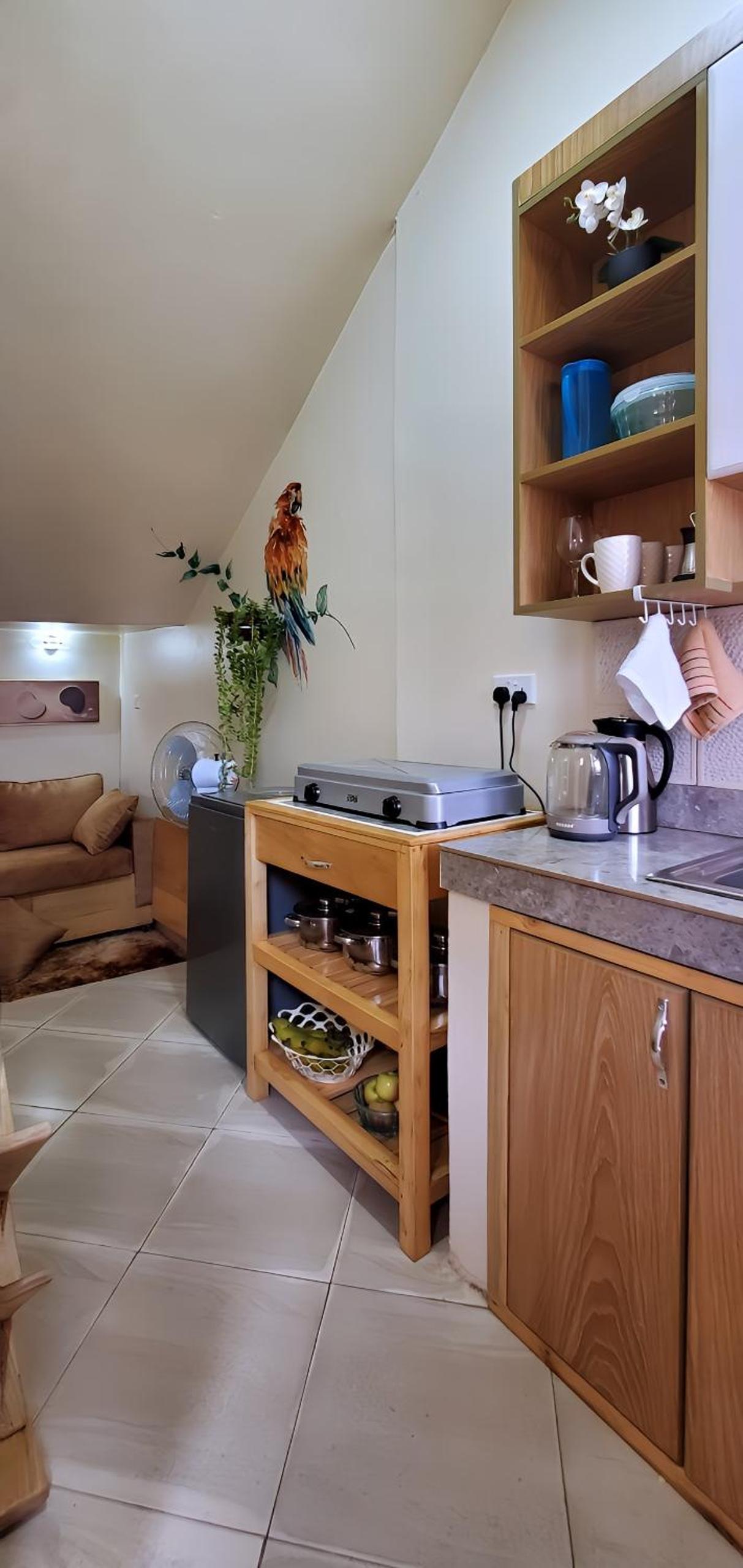 Orchid Gardens; Studio Apartment, minimalist view 4